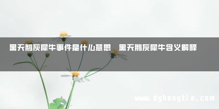 黑天鹅灰犀牛事件是什么意思 黑天鹅灰犀牛含义解释